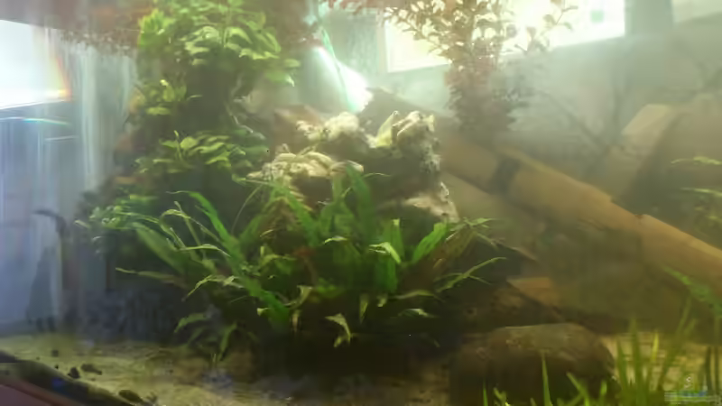 Aquarium Becken 12489 von huigu (2)