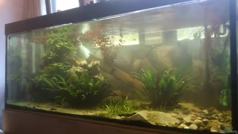 Aquarium Becken 12489 von huigu (3)