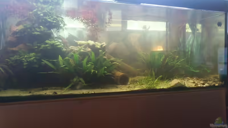 Aquarium Becken 12489 von huigu (5)