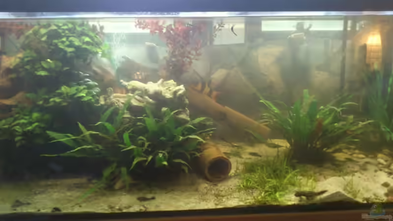 Aquarium Becken 12489 von huigu (6)