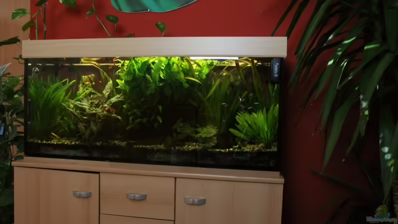 Aquarium Becken 12635 von Marcel Stübs (2)