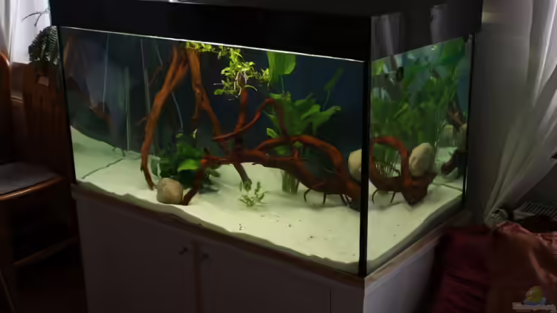 Aquarium Becken 12658 von Freddy (2)