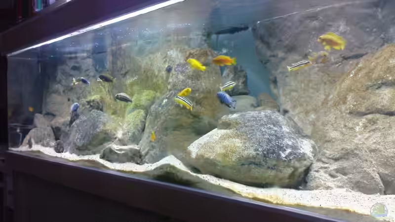 Aquarium Becken 12684 von Oliver Menck (2)