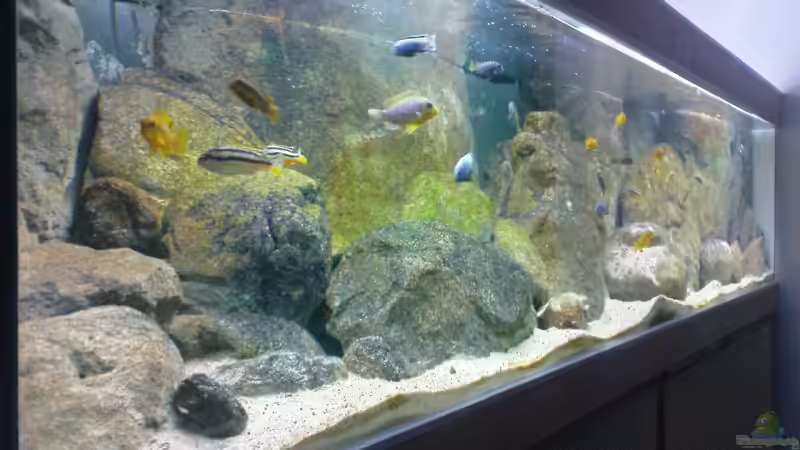 Aquarium Becken 12684 von Oliver Menck (3)