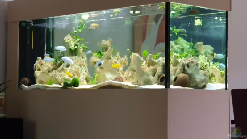 Aquarium Becken 12695 von Meike_R (8)