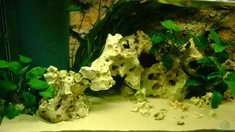 Aquarium Becken 12705 von Shark (2)