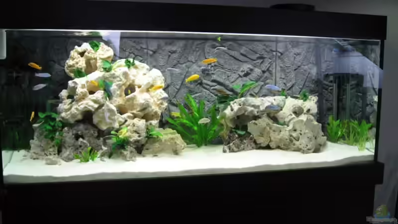 Aquarium Becken 12713 von Michael Geyer (4)