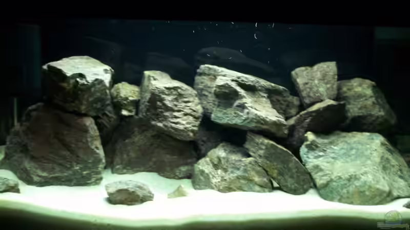 Aquarium Becken 12811 von babyschlumpf (2)