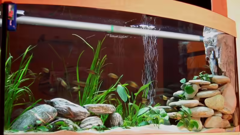 Aquarium Becken 1283 von Eike Schulz (2)