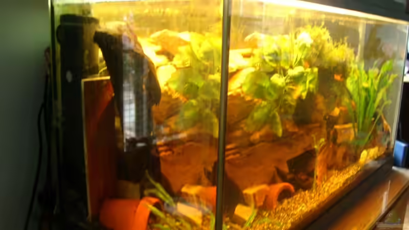 Aquarium Becken 12901 von Mirtscho (4)