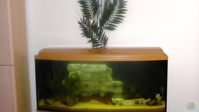 Aquarium Becken 12910 von Airpower007 (2)