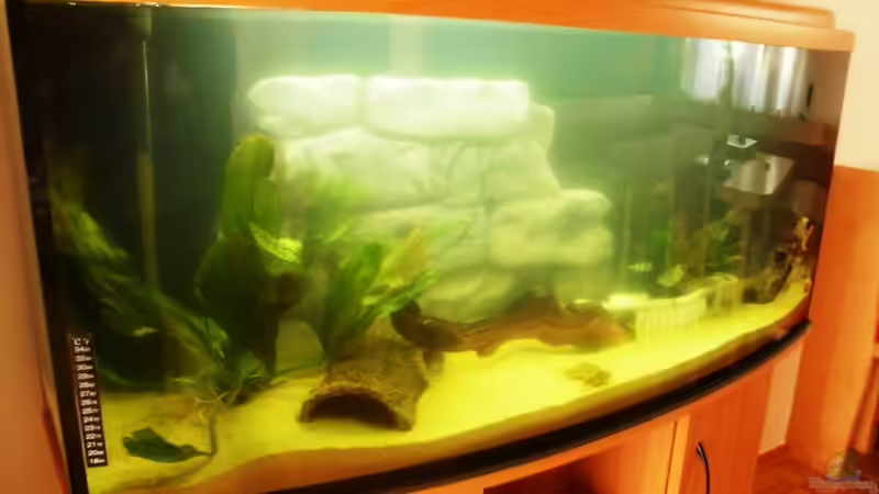 Aquarium Becken 12910 von Airpower007 (3)