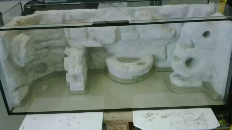 Aquarium Becken 12978 von ms0174 (2)