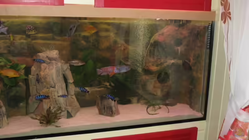 Aquarium Becken 12978 von ms0174 (3)