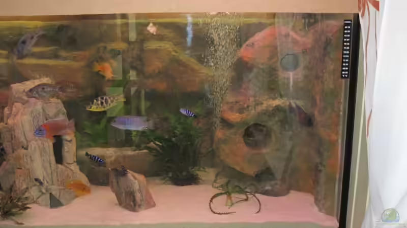 Aquarium Becken 12978 von ms0174 (4)