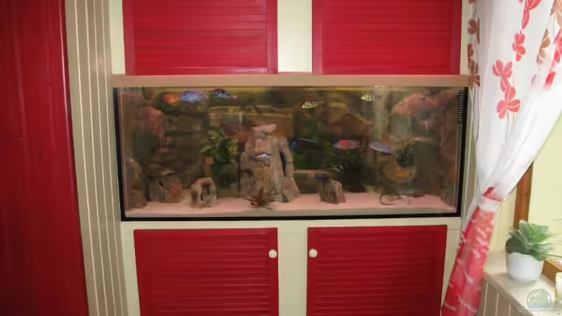 Aquarium Becken 12978 von ms0174 (7)