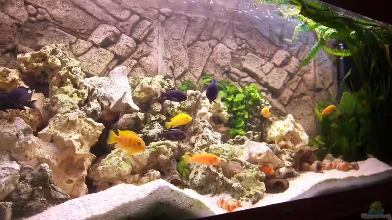 Aquarium Becken 13030 von az189 (3)