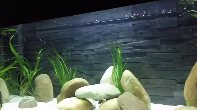 Aquarium Becken 13190 von pikespik (2)