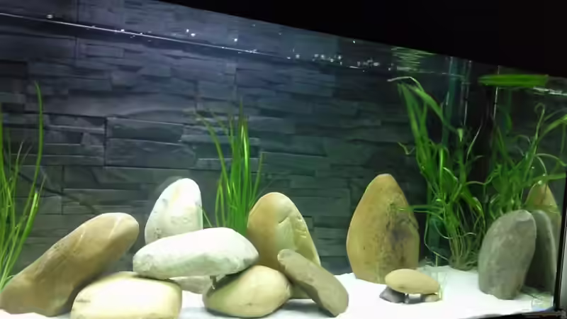 Aquarium Becken 13190 von pikespik (3)