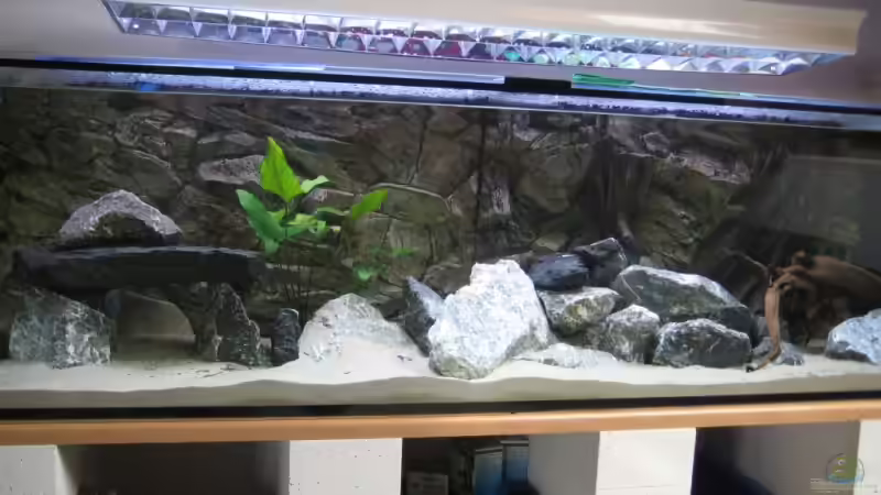 Aquarium Becken 13192 von Stefan Niemann (2)
