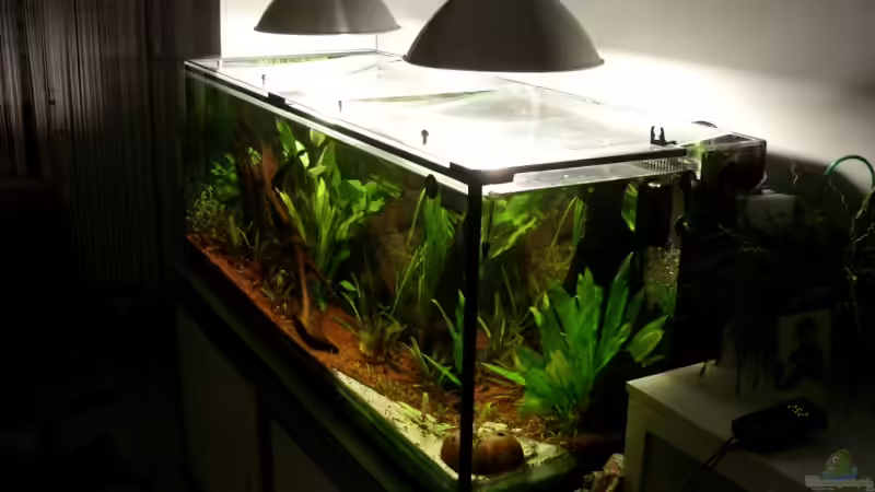 Aquarium Becken 13211 (nur noch als Beispiel) von Oliver Boden (6)