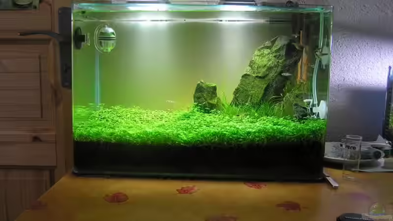 Aquarium Becken 13292 von niva (2)