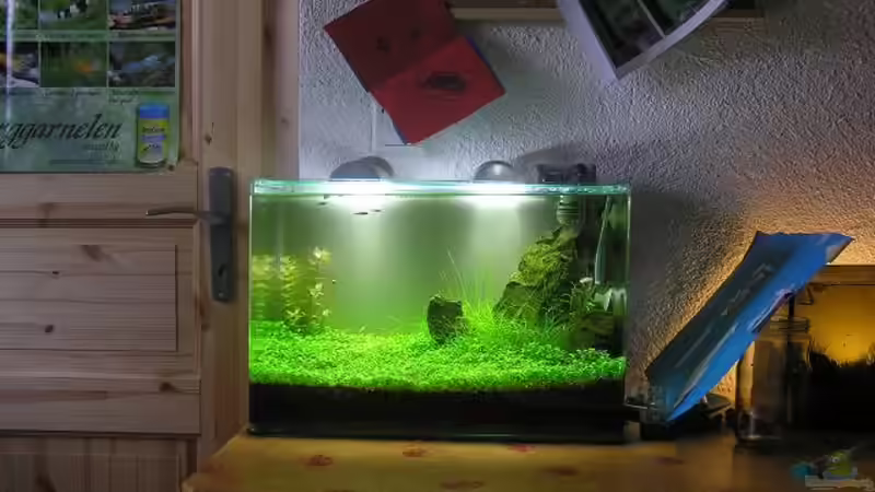 Aquarium Becken 13292 von niva (6)