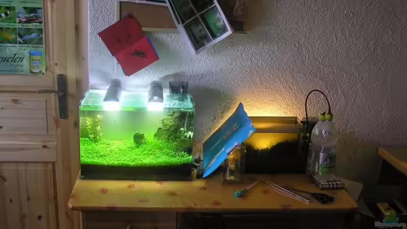 Aquarium Becken 13292 von niva (7)