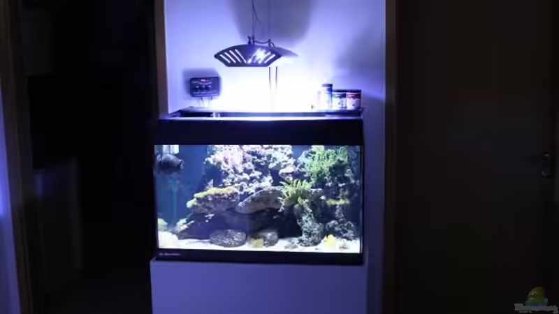 Aquarium Becken 13350 von Marco Vasev (2)