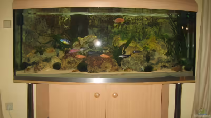 Aquarium Becken 13353 von Günter Bosbach (3)