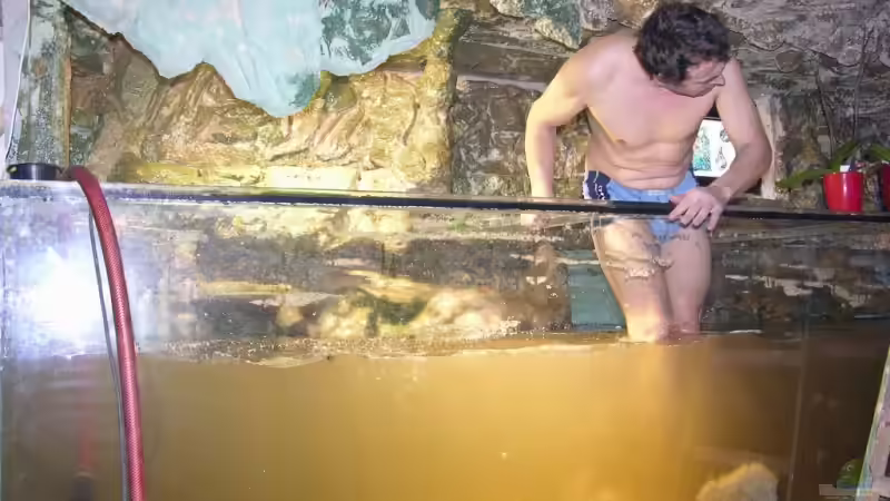 Aquarium Becken 13562 von dornwels (10)