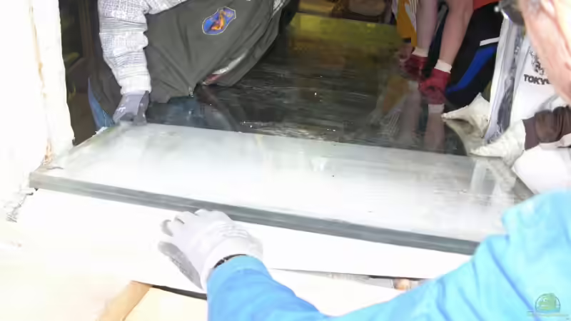 Aquarium Becken 13562 von dornwels (7)