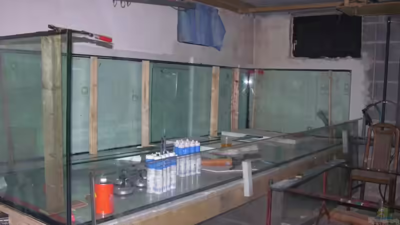 Aquarium Becken 13562 von dornwels (8)