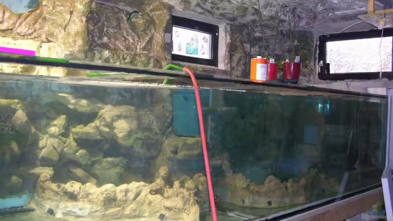Aquarium Becken 13562 von dornwels (9)