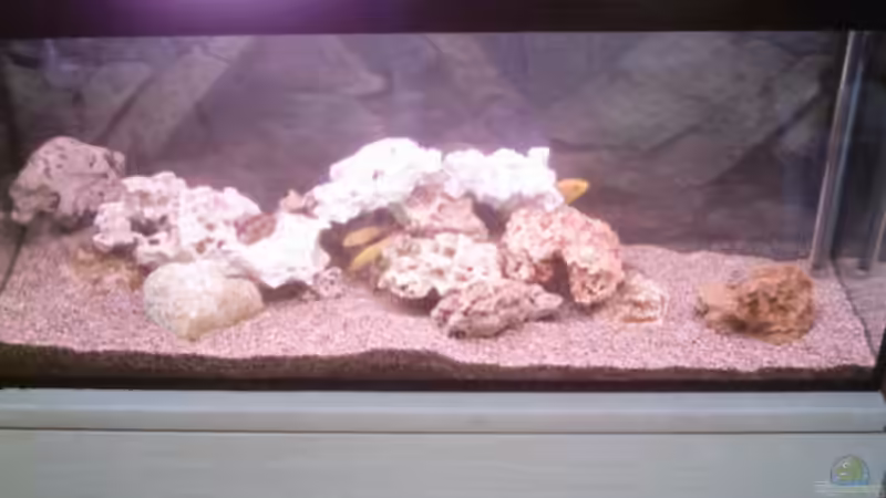 Aquarium Becken 1358 von Andreas Schlegel (2)