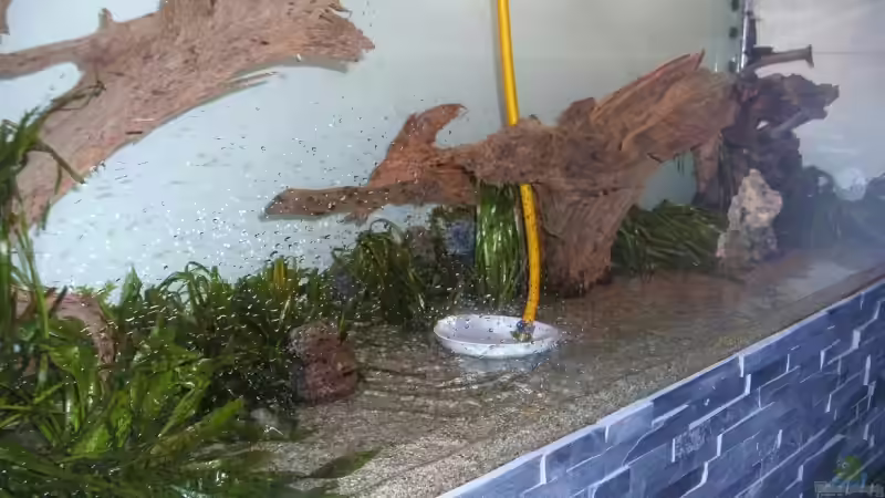 Aquarium Becken 13765 von phoenix81 (7)