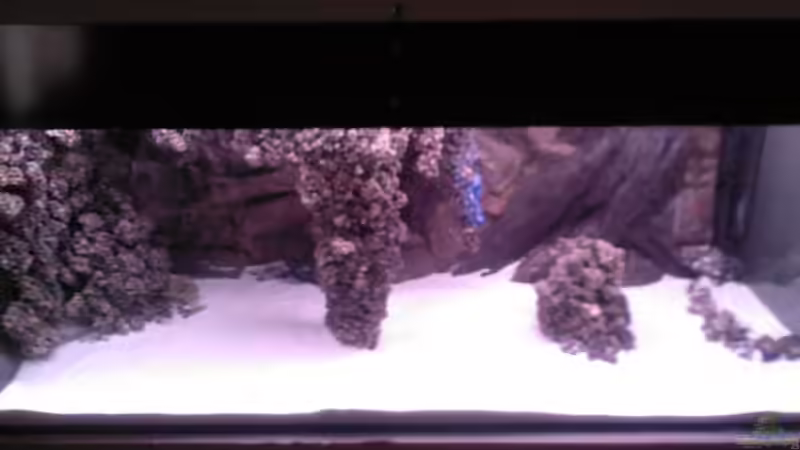 Aquarium Becken 13770 von Andy O. (2)