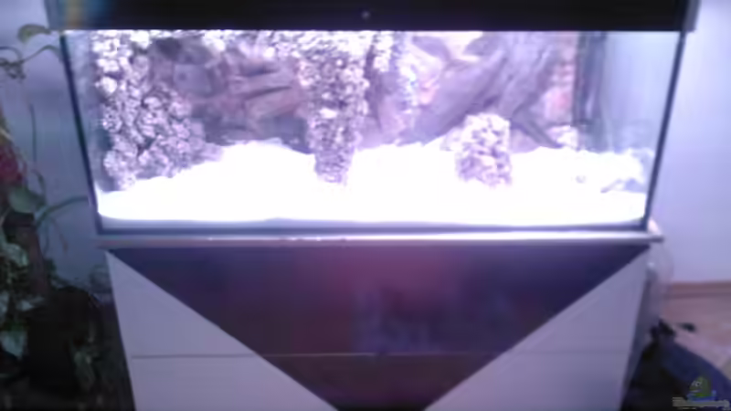 Aquarium Becken 13770 von Andy O. (3)