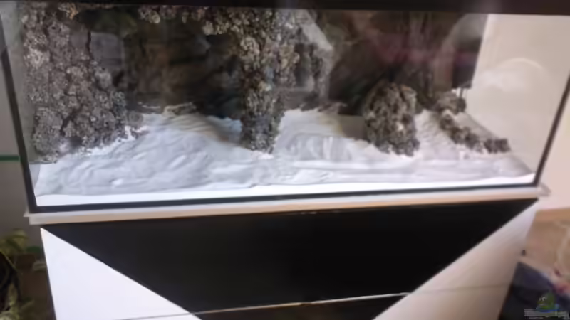 Aquarium Becken 13770 von Andy O. (4)