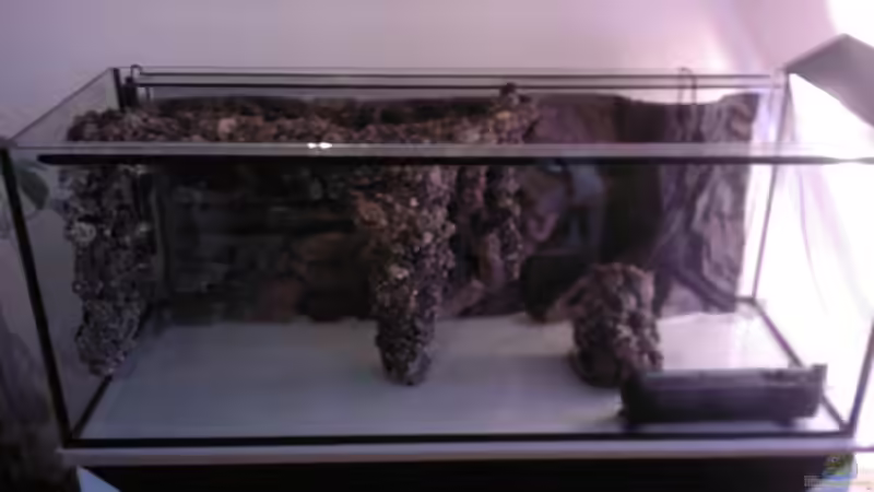 Aquarium Becken 13770 von Andy O. (8)