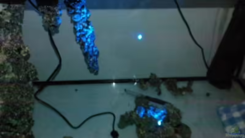 Aquarium Becken 13770 von Andy O. (9)