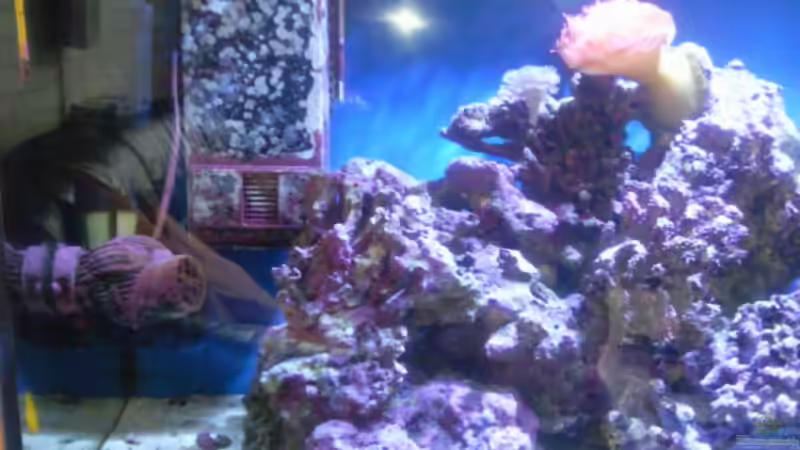 Aquarium Becken 13788 von O.K. (3)