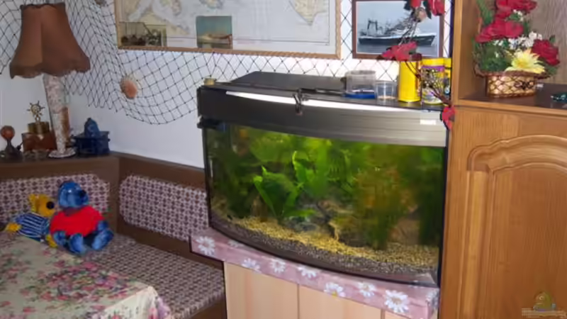 Aquarium Becken 13823 von hansa61 (3)