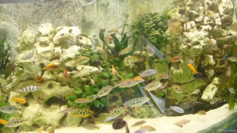 Aquarium Becken 1388 von Mario Jungnitsch (2)