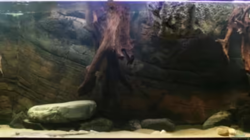 Aquarium Becken 1390 von Christian Daniel (2)