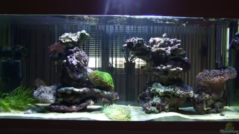 Aquarium Becken 14005 von Salzeritis (6)