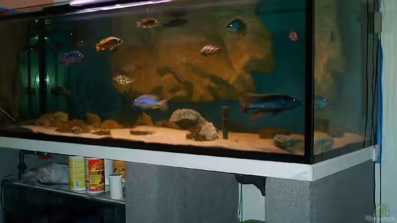 Aquarium Becken 14013 von Ronny Laumer (3)