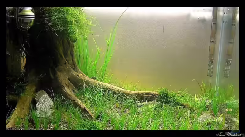 Aquarium Becken 14194 von niva (3)