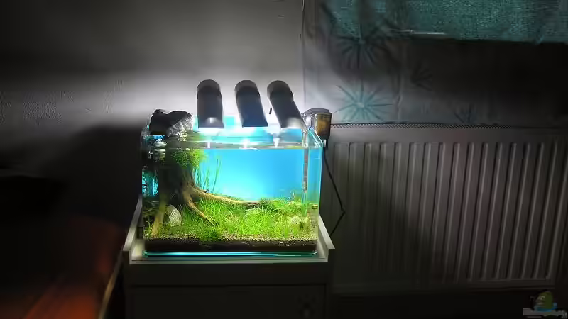 Aquarium Becken 14194 von niva (6)