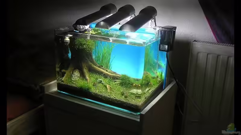 Aquarium Becken 14194 von niva (8)